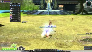 Gameplay RF Online